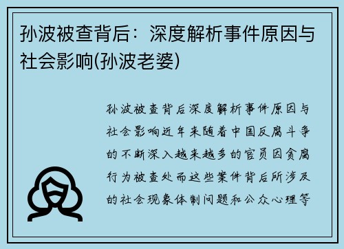孙波被查背后：深度解析事件原因与社会影响(孙波老婆)
