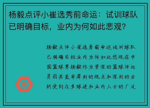 杨毅点评小崔选秀前命运：试训球队已明确目标，业内为何如此悲观？