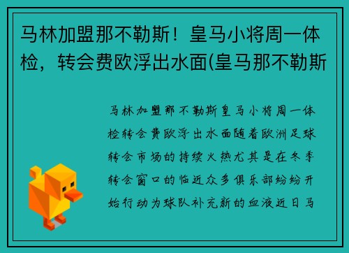 马林加盟那不勒斯！皇马小将周一体检，转会费欧浮出水面(皇马那不勒斯第一回合)