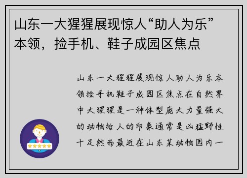 山东一大猩猩展现惊人“助人为乐”本领，捡手机、鞋子成园区焦点