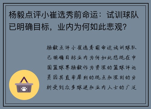 杨毅点评小崔选秀前命运：试训球队已明确目标，业内为何如此悲观？