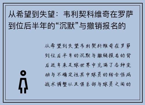 从希望到失望：韦利契科维奇在罗萨到位后半年的“沉默”与撤销报名的背后