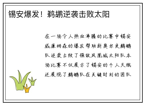 锡安爆发！鹈鹕逆袭击败太阳